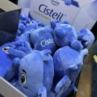Bichinho de pelúcia Personalizado