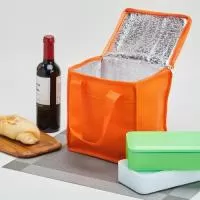 Bolsa térmica Personalizada