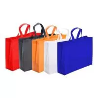 Sacola de TNT Personalizada