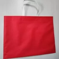 Sacola de TNT Personalizada